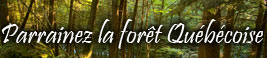 Aidez à préserver la forêt Québécoise !