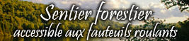 Création d'un sentier forestier de 500m. accessible aux fauteuils roulants