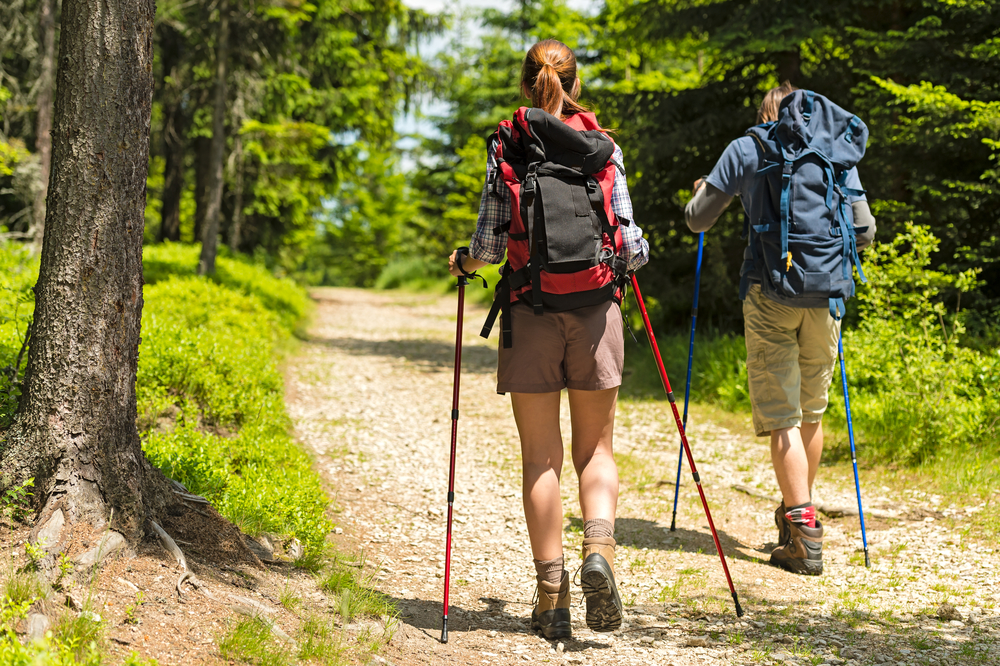 Sporty hikers on path with trekking poles