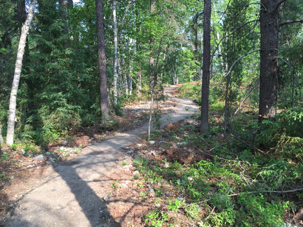 Singletrack1A