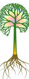 arbre+racine