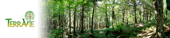 TerraVie