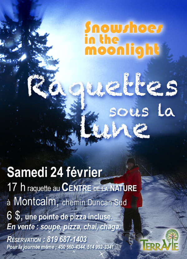 Raquettes sous la lune